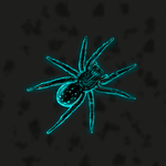 user Spider_sc avatar