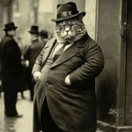 user Fat CryptoCat avatar